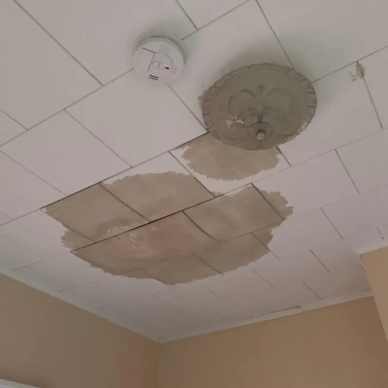 Ceiling Water Damage Repair in East Haven, CT