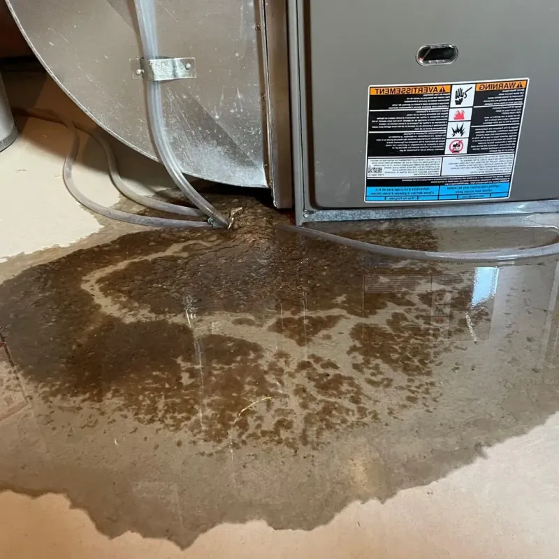 Pipe Burst and Leak Restoration in East Haven, CT