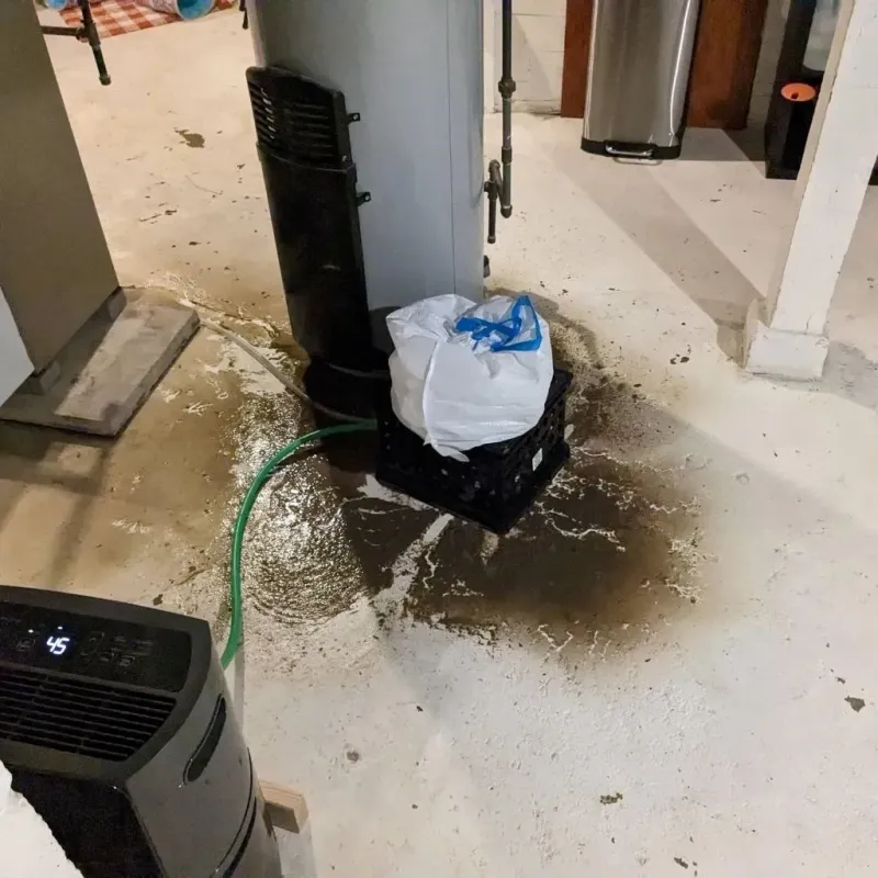 Sewage Backup Cleanup Service in East Haven, CT